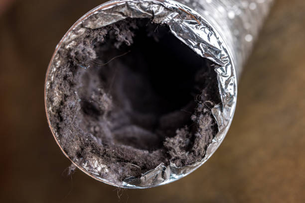 Best Home Air Vent Cleaning  in Meadowbrook, AL