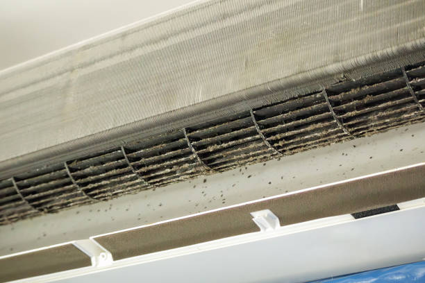 Best Home Air Vent Cleaning  in Meadowbrook, AL