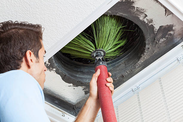 Best Professional Duct Cleaning Services  in Meadowbrook, AL